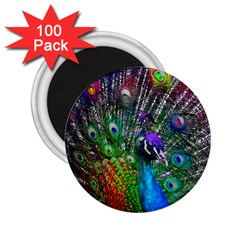 3d Peacock Pattern 2 25  Magnets (100 Pack) 