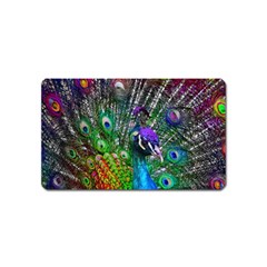 3d Peacock Pattern Magnet (name Card) by Amaryn4rt