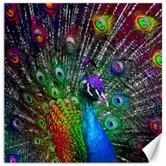 3d Peacock Pattern Canvas 16  X 16   by Amaryn4rt