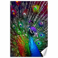 3d Peacock Pattern Canvas 24  X 36  by Amaryn4rt