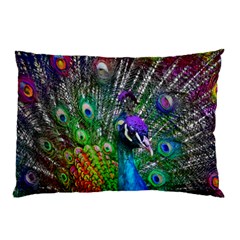 3d Peacock Pattern Pillow Case