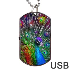 3d Peacock Pattern Dog Tag Usb Flash (two Sides) by Amaryn4rt