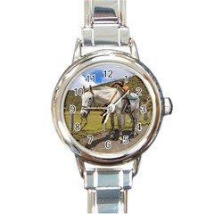 White Horse Tied Up At Cotopaxi National Park Ecuador Round Italian Charm Watch by dflcprints