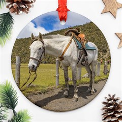 White Horse Tied Up At Cotopaxi National Park Ecuador Ornament (round) by dflcprints