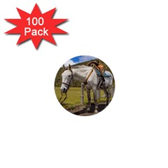 White Horse Tied Up At Cotopaxi National Park Ecuador 1  Mini Buttons (100 Pack)  by dflcprints