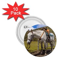 White Horse Tied Up At Cotopaxi National Park Ecuador 1 75  Buttons (10 Pack) by dflcprints