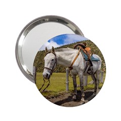 White Horse Tied Up At Cotopaxi National Park Ecuador 2 25  Handbag Mirrors by dflcprints