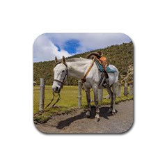 White Horse Tied Up At Cotopaxi National Park Ecuador Rubber Coaster (square)  by dflcprints