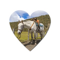 White Horse Tied Up At Cotopaxi National Park Ecuador Heart Magnet by dflcprints