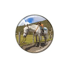 White Horse Tied Up At Cotopaxi National Park Ecuador Hat Clip Ball Marker (4 Pack) by dflcprints