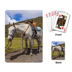 White Horse Tied Up At Cotopaxi National Park Ecuador Playing Card by dflcprints