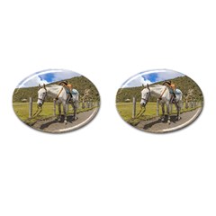 White Horse Tied Up At Cotopaxi National Park Ecuador Cufflinks (oval) by dflcprints