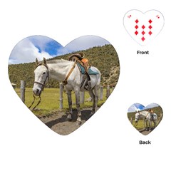 White Horse Tied Up At Cotopaxi National Park Ecuador Playing Cards (heart)  by dflcprints