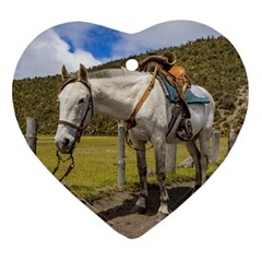 White Horse Tied Up At Cotopaxi National Park Ecuador Heart Ornament (two Sides) by dflcprints