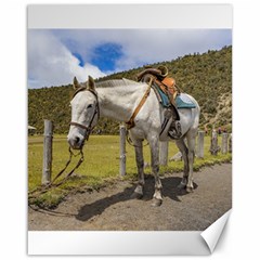 White Horse Tied Up At Cotopaxi National Park Ecuador Canvas 16  X 20   by dflcprints