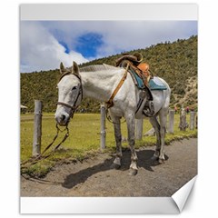 White Horse Tied Up At Cotopaxi National Park Ecuador Canvas 20  X 24   by dflcprints