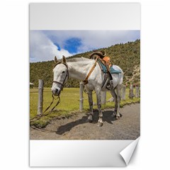 White Horse Tied Up At Cotopaxi National Park Ecuador Canvas 20  X 30   by dflcprints