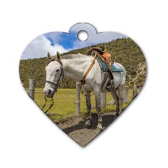 White Horse Tied Up At Cotopaxi National Park Ecuador Dog Tag Heart (one Side) by dflcprints