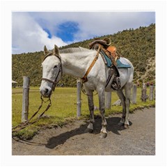 White Horse Tied Up At Cotopaxi National Park Ecuador Medium Glasses Cloth by dflcprints