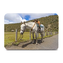 White Horse Tied Up At Cotopaxi National Park Ecuador Plate Mats by dflcprints