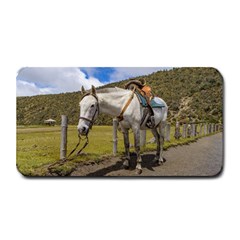 White Horse Tied Up At Cotopaxi National Park Ecuador Medium Bar Mats by dflcprints