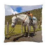 White Horse Tied Up at Cotopaxi National Park Ecuador Standard Cushion Case (Two Sides) Front