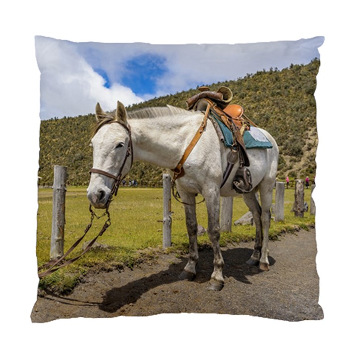 White Horse Tied Up at Cotopaxi National Park Ecuador Standard Cushion Case (Two Sides)