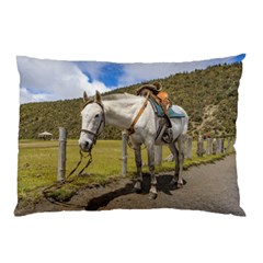 White Horse Tied Up At Cotopaxi National Park Ecuador Pillow Case by dflcprints