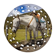 White Horse Tied Up At Cotopaxi National Park Ecuador Ornament (round Filigree) by dflcprints