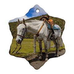 White Horse Tied Up At Cotopaxi National Park Ecuador Snowflake Ornament (two Sides) by dflcprints