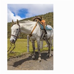 White Horse Tied Up At Cotopaxi National Park Ecuador Small Garden Flag (two Sides) by dflcprints