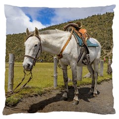 White Horse Tied Up At Cotopaxi National Park Ecuador Large Cushion Case (one Side) by dflcprints