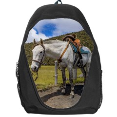 White Horse Tied Up At Cotopaxi National Park Ecuador Backpack Bag by dflcprints