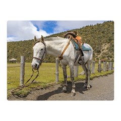 White Horse Tied Up At Cotopaxi National Park Ecuador Double Sided Flano Blanket (mini)  by dflcprints