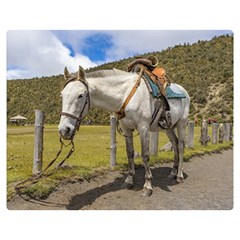 White Horse Tied Up At Cotopaxi National Park Ecuador Double Sided Flano Blanket (medium)  by dflcprints