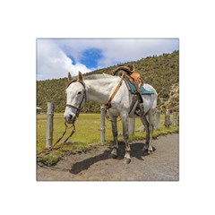 White Horse Tied Up At Cotopaxi National Park Ecuador Satin Bandana Scarf by dflcprints