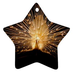 3d Beautiful Peacock Ornament (star) by Amaryn4rt