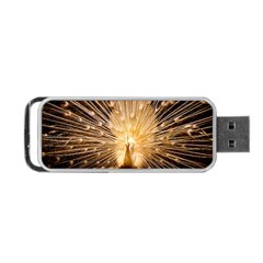 3d Beautiful Peacock Portable Usb Flash (two Sides) by Amaryn4rt