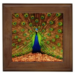 3d Peacock Bird Framed Tiles