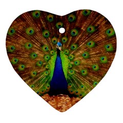 3d Peacock Bird Ornament (Heart)