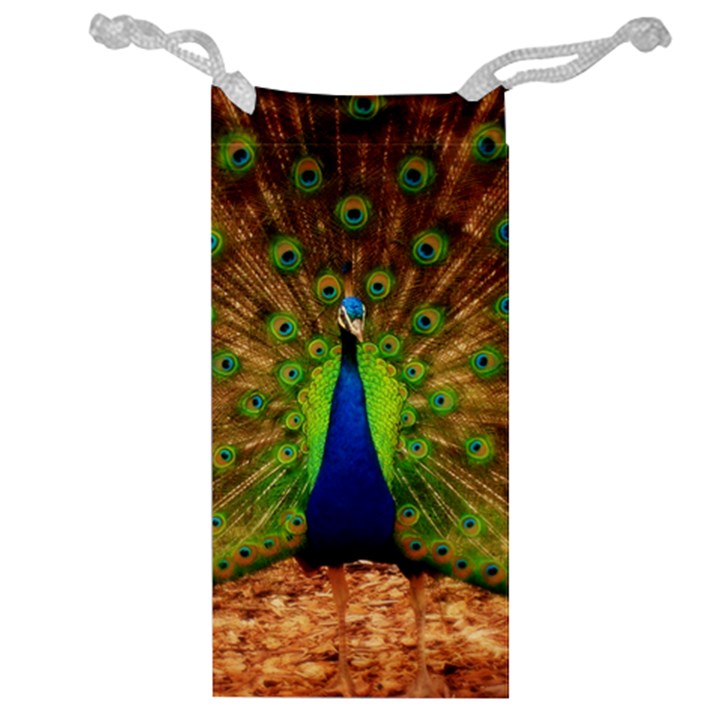 3d Peacock Bird Jewelry Bag