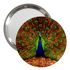 3d Peacock Bird 3  Handbag Mirrors