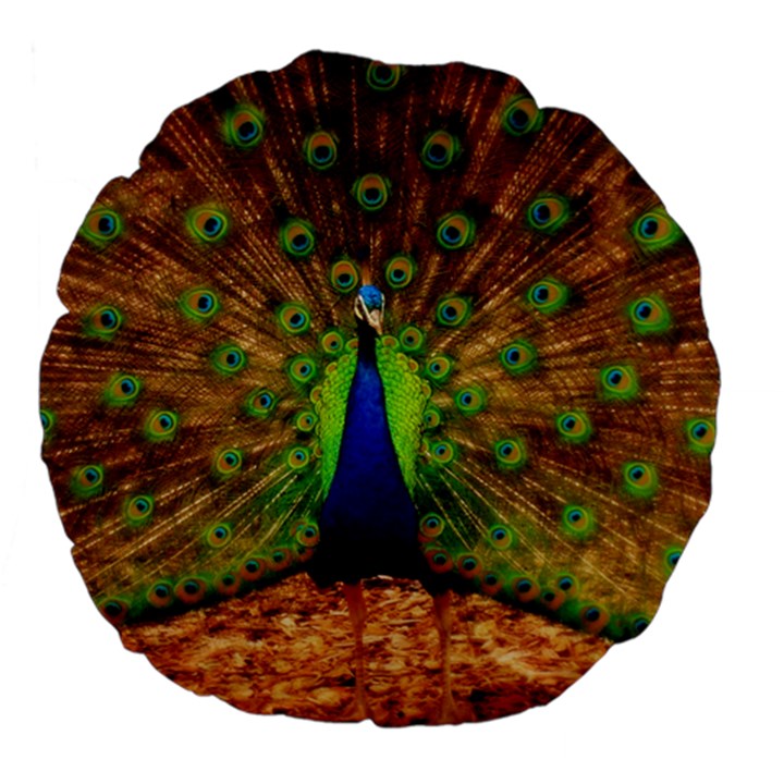 3d Peacock Bird Large 18  Premium Flano Round Cushions