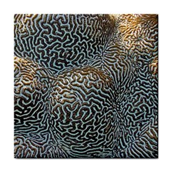 Coral Pattern Tile Coasters