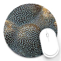 Coral Pattern Round Mousepads by Amaryn4rt