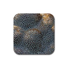 Coral Pattern Rubber Coaster (square)  by Amaryn4rt