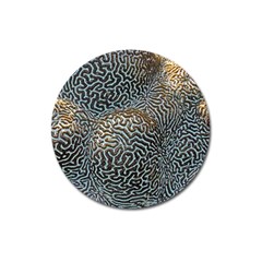 Coral Pattern Magnet 3  (round)