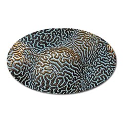 Coral Pattern Oval Magnet