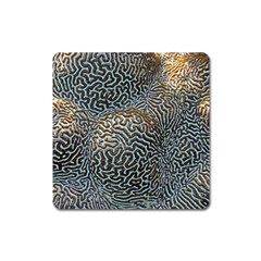 Coral Pattern Square Magnet