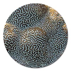 Coral Pattern Magnet 5  (round) by Amaryn4rt